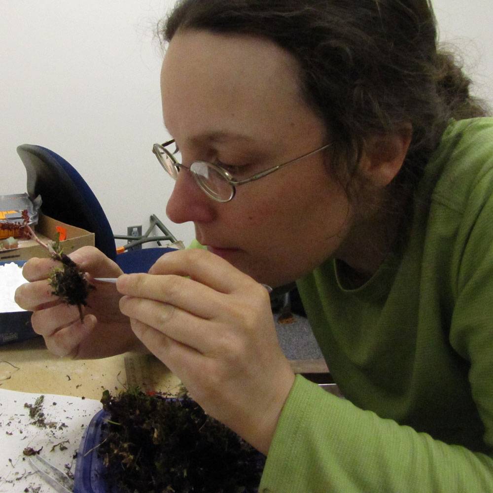 Keri examines species on a table.